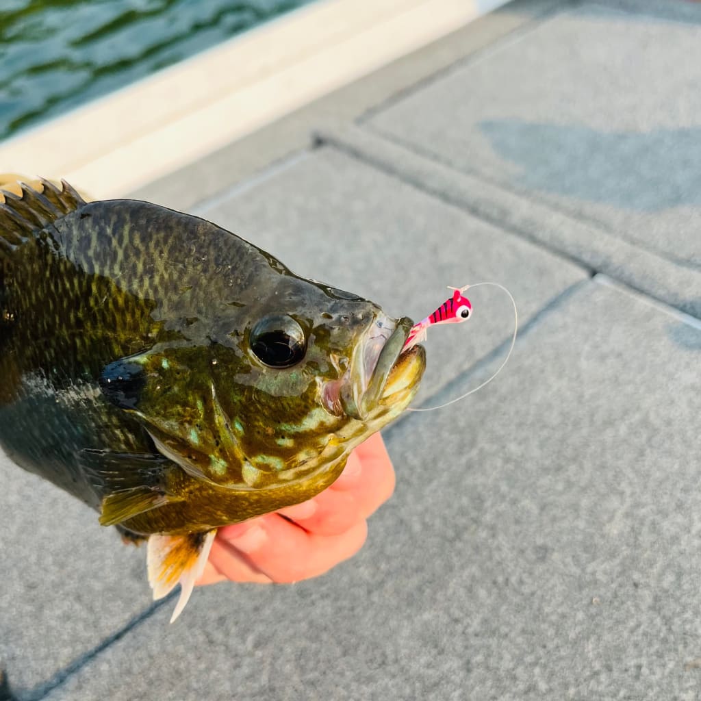 Grabber Jig
